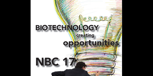 Logo NBC-17.png